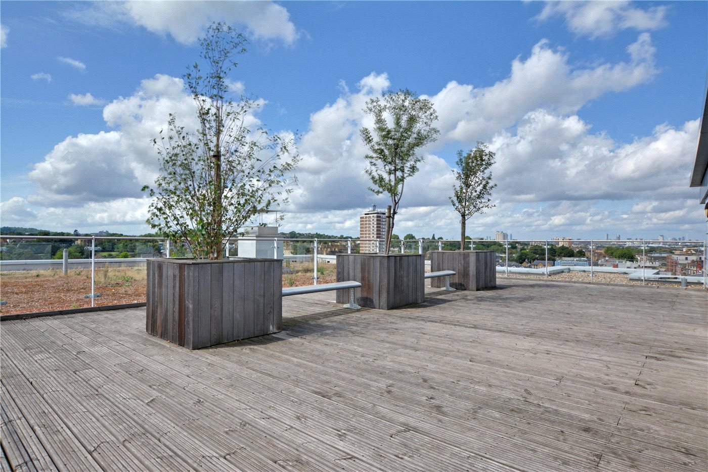 Roof Terrace